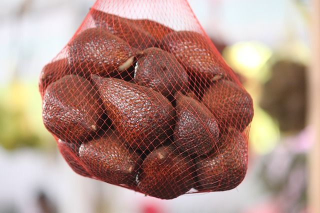 buah salak oleh oleh bali