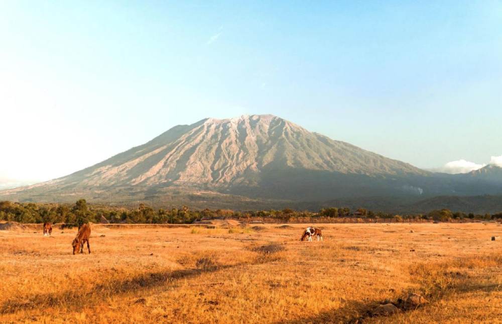 savana tianyar karangasem